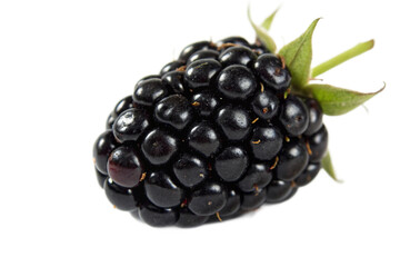Close-up of a Single Ripe Blackberry with Green Stem