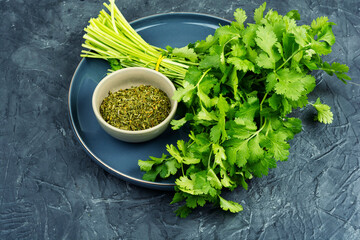 Cilantro on table and chopped dry parsley leaves.