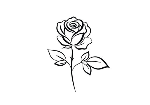 Abstract rose drawing. It is a black and white outline image of an abstract rose, featuring bold, flowing lines and a simple design. Vector sketch line art draw.