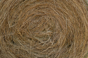 Rolled Hay Large Bale. Convenient Storage and Transportation. Hay Background Close Up.
