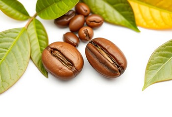 Two roasted coffee beans beside vibrant green coffee leaves on white,  product photography, coffee beans
