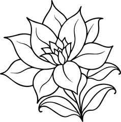 Floral black outline vector and illustration, coloring book page
