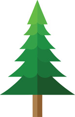 Pine Tree: Evergreen Forest

