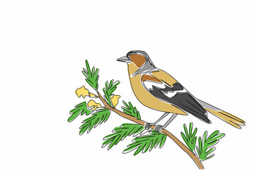 Single one line drawing chaffinch bird perched on a tree branch with leaves and flowers. Birds symbol of happiness. Songbird. International Dawn Chorus Day. Continuous line design graphic illustration