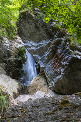 Obraz premium little waterfall among the rocks