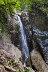 Fototapeta premium waterfall in the woods