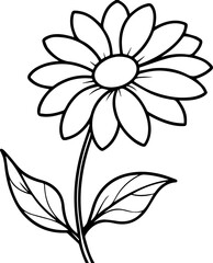 Daisy flower black outline vector and illustration, coloring book page