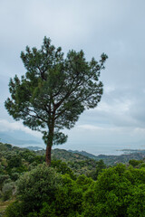 View of Lake Bafa from Latmos Caria hiking trail in spring. View of Lake Bafa from Latmos mountain. Latmos Caria trekking trail. Muğla, Türkiye.