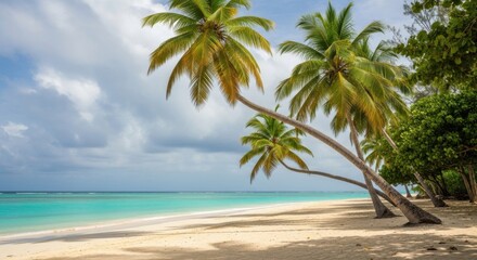 Obraz premium Tropical Beach Paradise With Swaying Palm Trees Under A Blue Sky