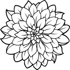 Chrysanthemum flower black outline vector and illustration, coloring book page