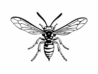 Unique Hornet Icon With Raised Stinger Detailed Wings An Line Art Design