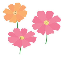 ピンク色とオレンジ色のコスモスのイラスト素材