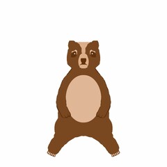 Cartoon bear illustration
