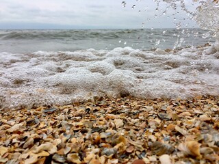 Waves crash over a sandy beach adorned with shells on a cloudy day by the ocean