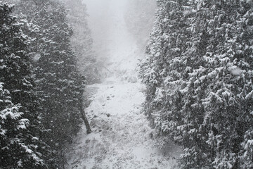 日本、京都,、比叡山、山、灯篭、赤燈籠、冬絶景、雪景色、神社、鳥居、冬の絶景、ポット、旅行、風景、旅、森,、自然、空,、冬、木、写真素材
