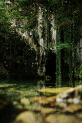 Close-up of the cave and hanging ivy reflected in the calm water of Krupajsko vrelo in Serbia in spring season.