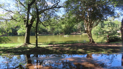 lake in the park