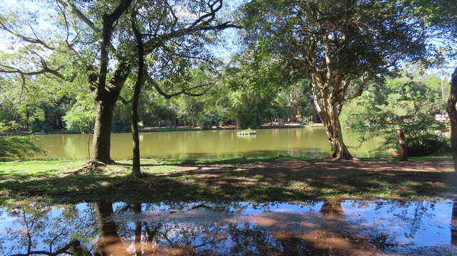 lake in the park