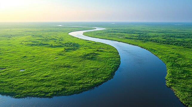 Serpentine river winding through vibrant green marshland.  Aerial view of tranquil landscape.  Sunrise or sunset light