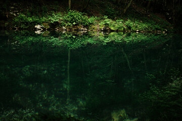 Dark green water with reflections of the forest at Krupajsko vrelo, creating a mirror-like surface. Emerald water of clean mountain river.