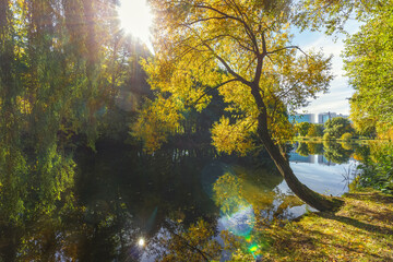 Picturesque autumn landscape with a pond and trees with yellowing foliage. Sun rays break through...