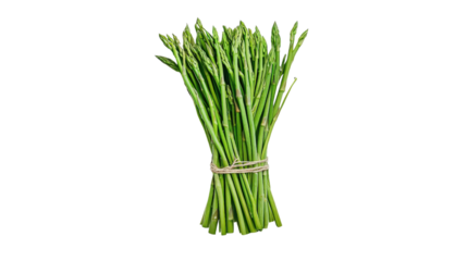 Green asparagus stalks neatly bunched, tender tips visible, Transparent background, PNG file