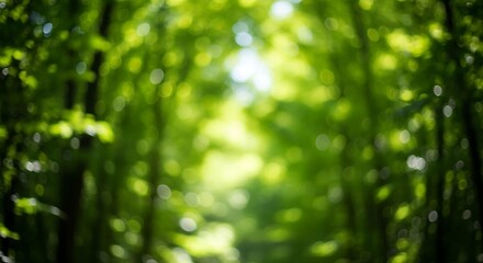 Abstract green forest bokeh: serene nature background, lush summer sunlight