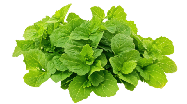 Green arugula bunch with lobed leaves and peppery aroma, Transparent background, PNG file