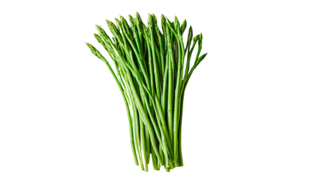 Green asparagus stalks neatly bunched, tender tips visible, Transparent background, PNG file