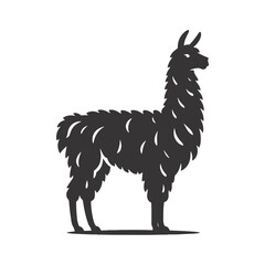 Standing llama silhouette black vector for farm animal clipart mountain wildlife graphics rustic nature art and design projects