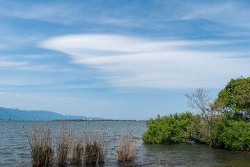 清々しい青空　緑の広場　滋賀県草津市　琵琶湖畔　烏丸半島の風景　