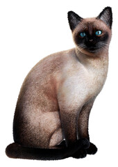 3D Rendering Siamese Cat on White