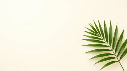 Aesthetic Green Palm Leaf on Soft Neutral Background