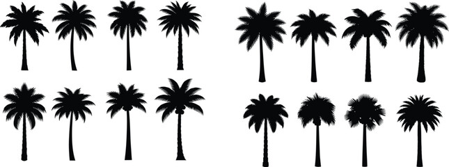 Set of various palm tree silhouettes design for summer holiday vacation background