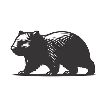 Walking wombat silhouette black vector for Australian wildlife and nature animal graphics