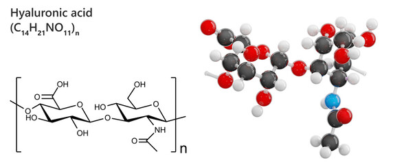 Skeletal model of Hyaluronic Acid molecule in skin care serum. Molecular formula: C14H21NO11 or (C14H21NO11)n. Chemical model: Ball and Stick. Isolated on transparent background. 3D illustration