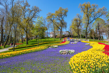 Spring Elegance at Emirgan Grove: Ottoman Pavilion Amid Blooming Tulips