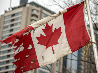 Torn Canadian Flag: A weathered and tattered Canadian flag billows proudly against a backdrop of a modern building, evoking a sense of resilience and enduring national pride.
