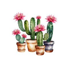 Watercolor Painting of Blooming Cacti in Terracotta Pots