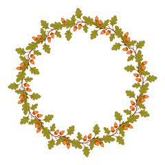 Wreath of oak acorns on branch, beautiful oak branches with acorn fruits in form of round frame, empty space for an inscription. Isolated on white background.