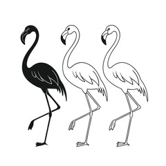 Three Stylized Flamingos in a Row: Black Silhouette and Outline Illustrations on White Background