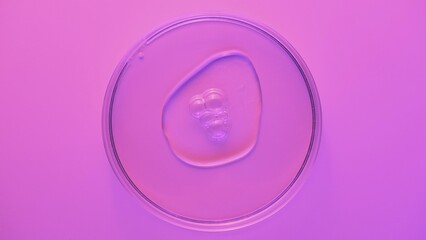 Petri Dish with Gel Under Violet Lighting