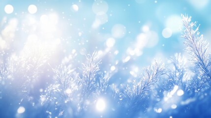 Frosty winter plants with bokeh lights, soft focus, and pastel blue tones.
