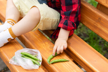 Little child eats fresh green peas. Selective focus, defocus.
