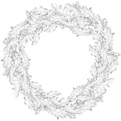 A magnificent oak wreath with leaves and acorns, standing out against a white background, is the symbol of Ligo. Pencil drawing, monochrome illustration. Seamless pattern. An oak branch, background
