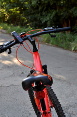 Bright red mountain bike rests on a dirt path surrounded by greenery during a sunny day
