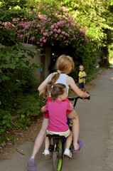 Children enjoy a leisurely bike ride along a quiet path in summer surrounded by lush greenery and...