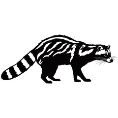 Raccoon Silhouette, A sleek, black and white silhouette of a raccoon, showcasing its distinctive features in a minimalist, artistic design, perfect for conveying the essence of the wild.