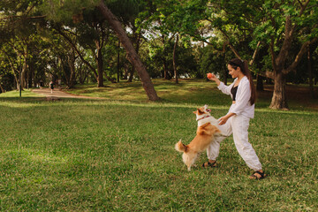 Young girl trains Welsh Corgi in the park in sunny weather. Concept of walking a dog, friendship...