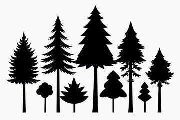 Fototapeta premium Silhouettes of evergreen trees in a forest setting